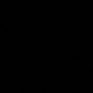 Meet your Posher, Gloria